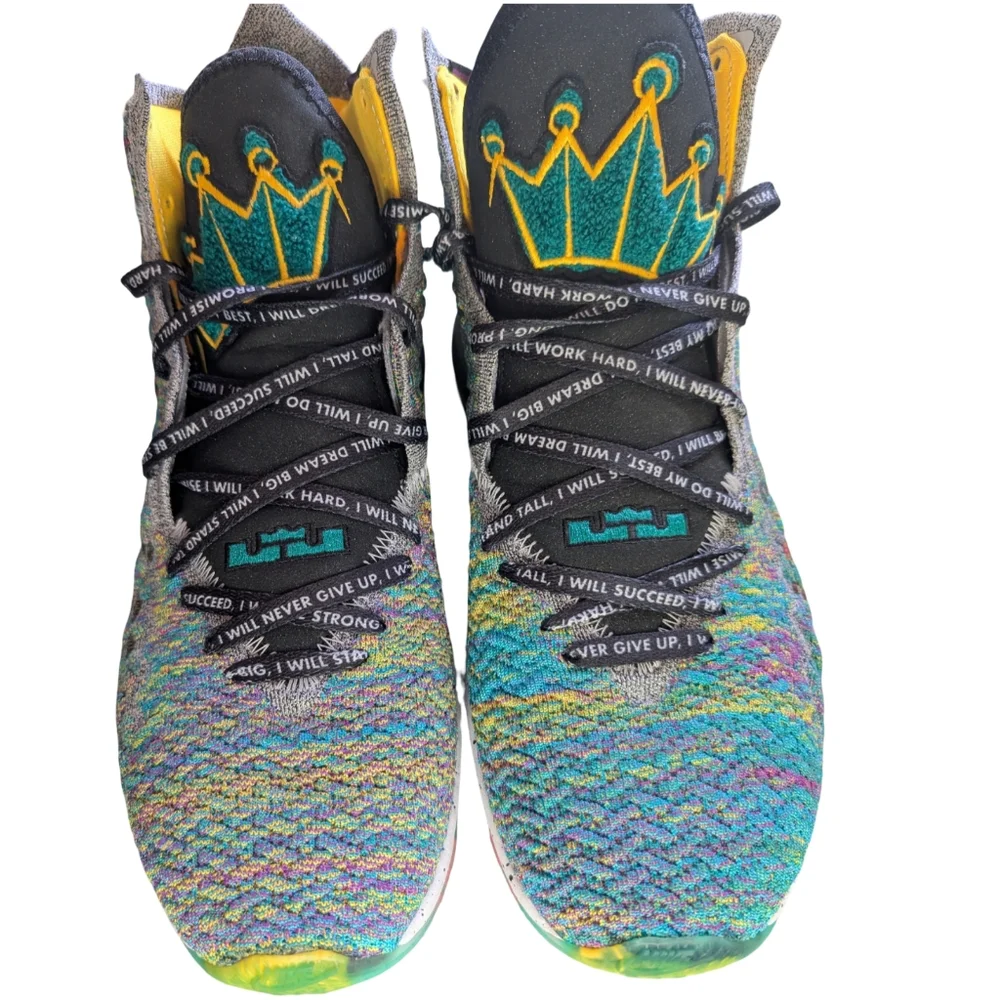 Nike LeBron 17 XVII "I Promise" Multicolor Basketball Shoes Size 11.5 - Picture 2 of 16